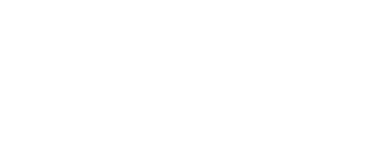 Rômulo Brasil